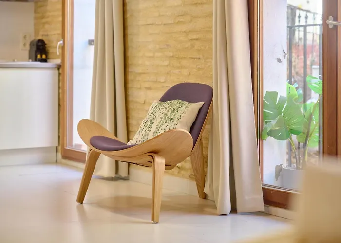 Apartamento Elegante En Plaza Del Carmen F2